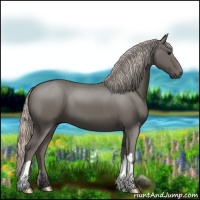 Horse Color:Silver Black 