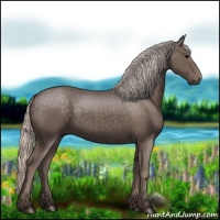 Horse Color:Silver Black 