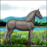 Horse Color:Silver Black 