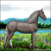 Horse Color:Silver Black 