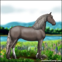 Horse Color:Silver Black 
