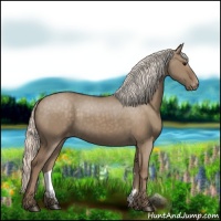 Horse Color:Silver Grullo Varnish 