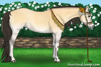 Horse Color:Buckskin Roan Onyx 