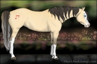 Horse Color:Buckskin Dun Splash 