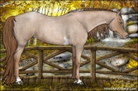 Horse Color:Liver Red Roan Pearl Tobiano Frame 