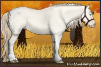 Horse Color:Perlino Dun Tobiano 