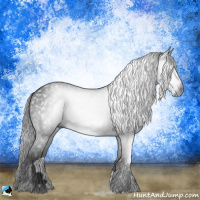 Horse Color:Gray Black 