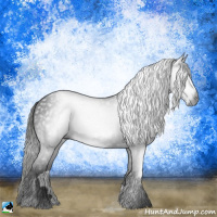 Horse Color:Gray Black 