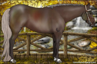 Horse Color:Silver Brown 