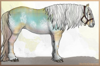 Horse Color:Watercolor Plaid  White Spotted Chocolate Palomino Onyx Sabino Brindle 