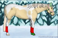 Horse Color:Palomino Dun Tobiano