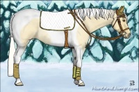 Horse Color:Palomino Roan Dun Tobiano Rabicano