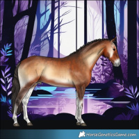 Horse Color:Bay Onyx 