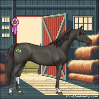 Horse Color:Smoky Blue Roan 