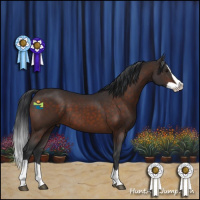 Horse Color:Brown Splash