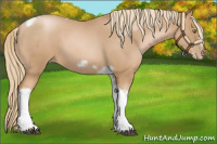 Horse Color:Red Roan Pearl Tobiano Frame 