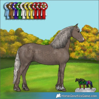 Horse Color:Silver Black 