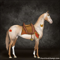 Horse Color:Gray Gold Champagne 