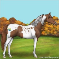 Horse Color:Chestnut Tobiano 
