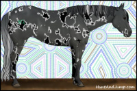 Horse Color:White Spotted Black 