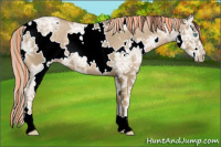 Horse Color:Painted White Spotted Chocolate Palomino Ice Pearl