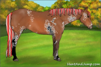 Horse Color:Painted White Spotted Silver Bay