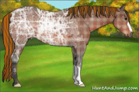 Horse Color:Painted Plaid  Bay Ice 