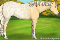 Horse Color:Palomino Ice 