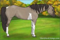 Horse Color:Smoky Grullo Roan Tobiano