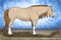 Horse Color:Red Dun Roan Splash Frame Rabicano 