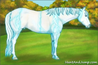Horse Color:Thunderstruck Silver Smoky Grullo Ice Pearl Splash Rabicano 