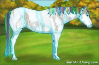 Horse Color:Painted Thunderstruck Liver Red Dun Ice Splash Tobiano Rabicano 