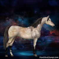 Horse Color:Void White Spotted Liver Red Dun Ice 