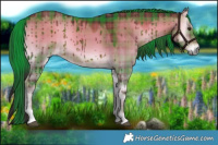 Horse Color:Plaid  Liver Red Dun Onyx Brindle 