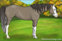 Horse Color:Smoky Grullo Sabino Splash