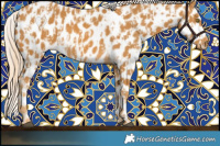 Horse Color:Palomino Leopard  and Palomino Leopard 