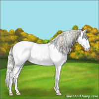 Horse Color:Plaid  Perlino Ice Splash Appaloosa 