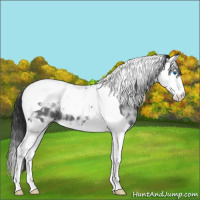 Horse Color:Black Ice Sabino Splash Tobiano Varnish 