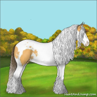 Horse Color:Buckskin Splash Tobiano Varnish 