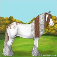 Horse Color:White Spotted Chestnut Ice Splash Appaloosa 