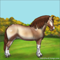 Horse Color:Red Onyx Sabino Tobiano 
