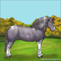 Horse Color:Watercolor Chestnut Tobiano Appaloosa 
