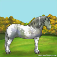 Horse Color:Watercolor Chestnut Tobiano Varnish 
