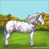 Horse Color:Watercolor Bay Splash Tobiano Near Leopard 