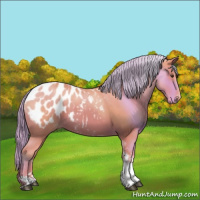 Horse Color:Watercolor Chestnut Tobiano Appaloosa 