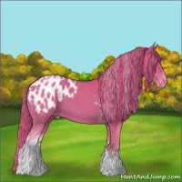 Horse Color:Watercolor Chestnut Tobiano Appaloosa 