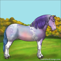 Horse Color:Watercolor Bay Tobiano Appaloosa
