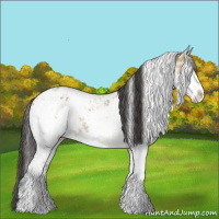 Horse Color:Bay Ice Sabino Blanket 