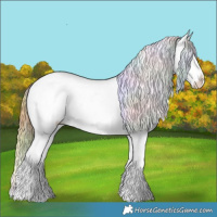 Horse Color:Nacre Chestnut Ice Tobiano Appaloosa
