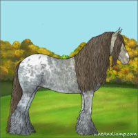 Horse Color:Smoky Black Ice Appaloosa